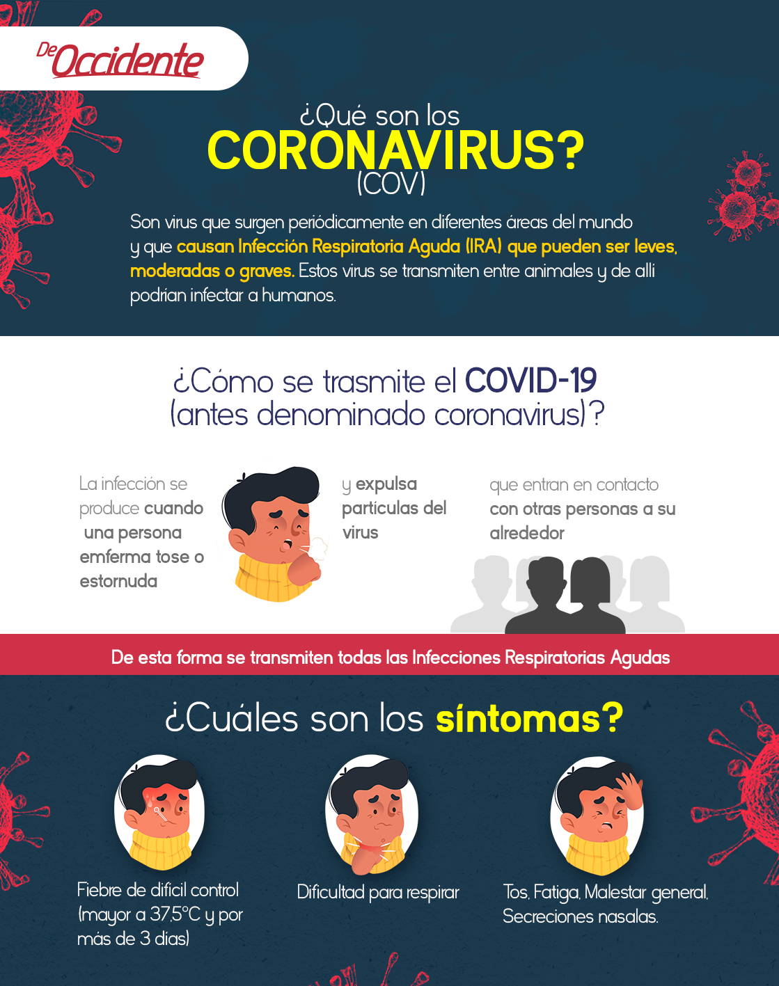 Qué son los coronavirus covid